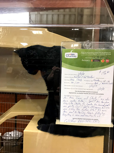 Pet Supply Store «PetSmart», reviews and photos, 10 Hazard Ave, Enfield, CT 06082, USA