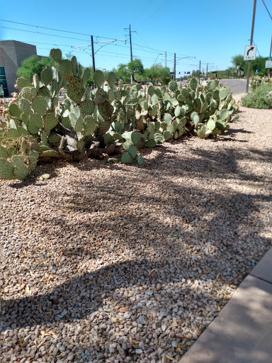 Non-Profit Organization «UMOM», reviews and photos