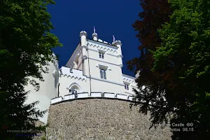 Trakoscan Castle image