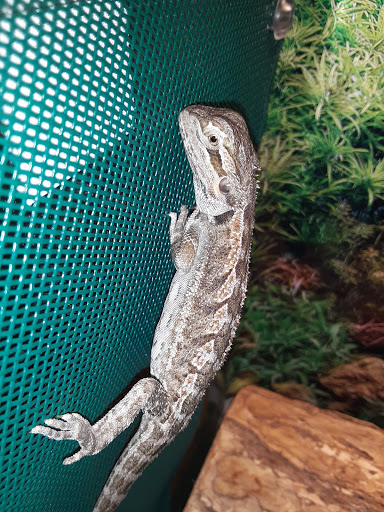 Pet Supply Store «Petco Animal Supplies», reviews and photos, 6720 Fox Centre Pkwy, Gloucester Courthouse, VA 23061, USA