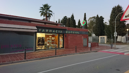 Información y opiniones sobre Farmàcia Marta Burniol García de San Andrés De Llavaneras