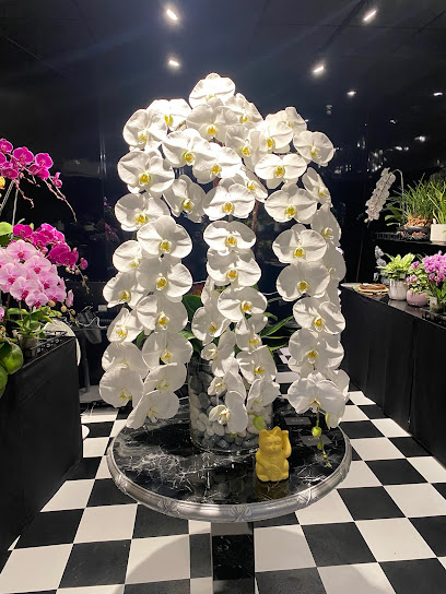 蘭葶集敍Orchid Shop