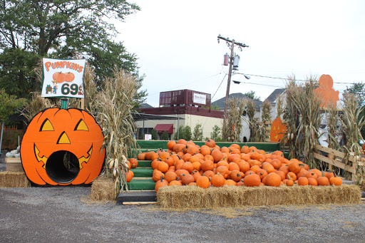 Garden Center «Nalls Produce», reviews and photos, 7310 Beulah St, Alexandria, VA 22315, USA