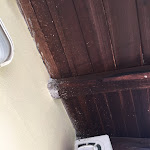 Photo n°11 de l'avis de Wiliam.r fait le 28/05/2018 à 15:18 sur le  Club Marmara Cala Fiorita à Budoni