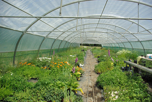 bioplants 81 à La Sauzière-Saint-Jean