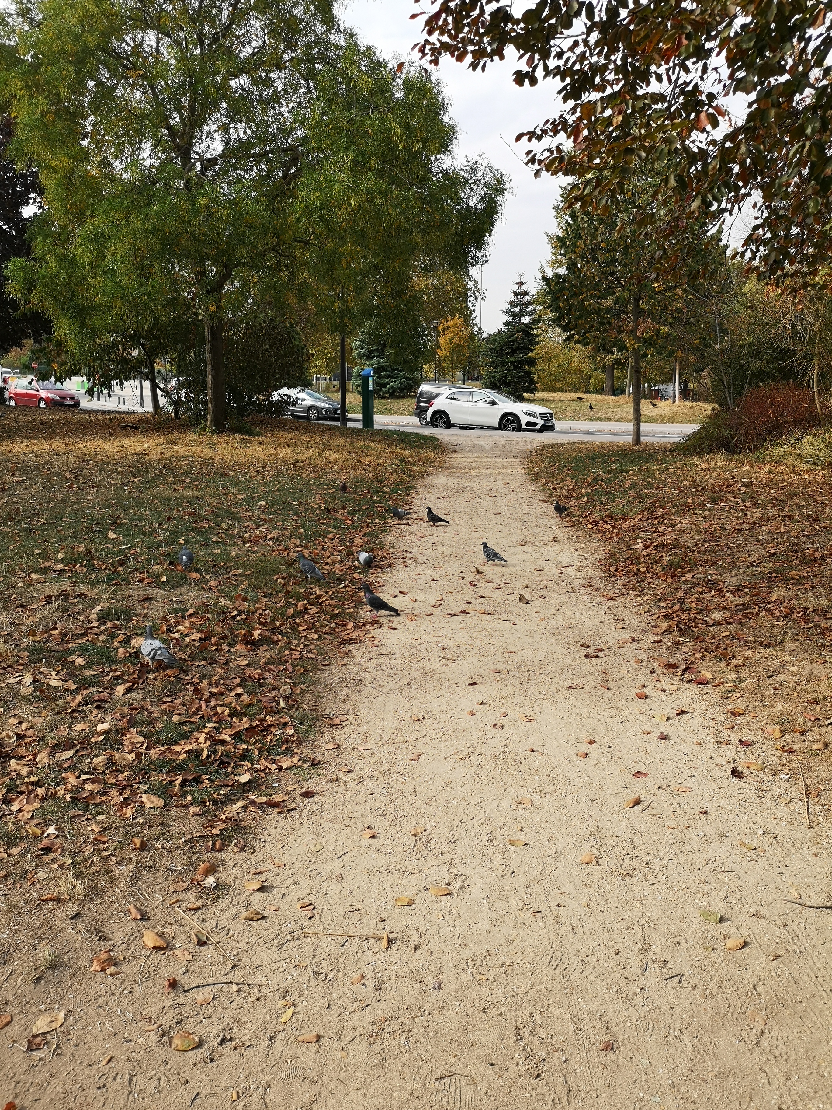 Photo n° 7 de l'avis de Dr..o fait le 26/10/2018 à 18:14