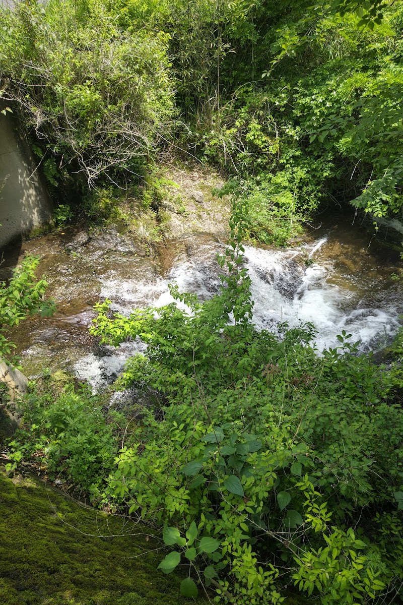 豊前の名水