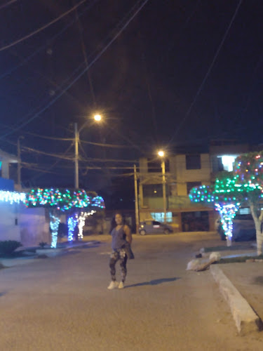 Plataforma Deportiva Los Ficus 2 - Campo de fútbol