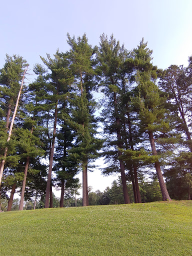 Golf Course «Veterans Memorial Golf Course», reviews and photos, 1059 S Branch Pkwy, Springfield, MA 01118, USA