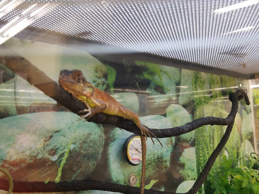 Pet Supply Store «Petco Animal Supplies», reviews and photos, 86 Storrs Rd, Mansfield Center, CT 06250, USA