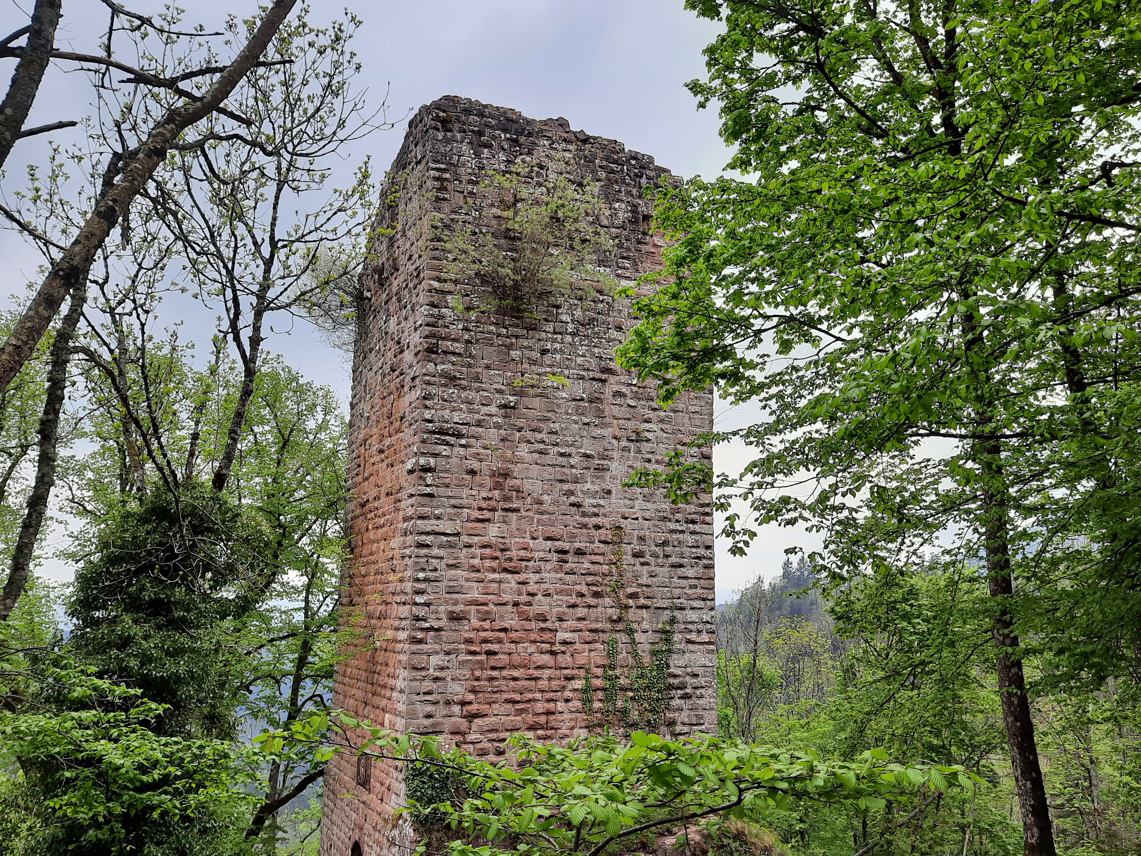 Photo n° 5 de l'avis de sandrine.o fait le 06/05/2022 à 14:01