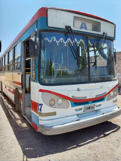 Agustina Buses Transporte y servicio contratado
