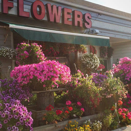 Florist «Fairfield Florist», reviews and photos, 1998 Post Rd, Fairfield, CT 06824, USA