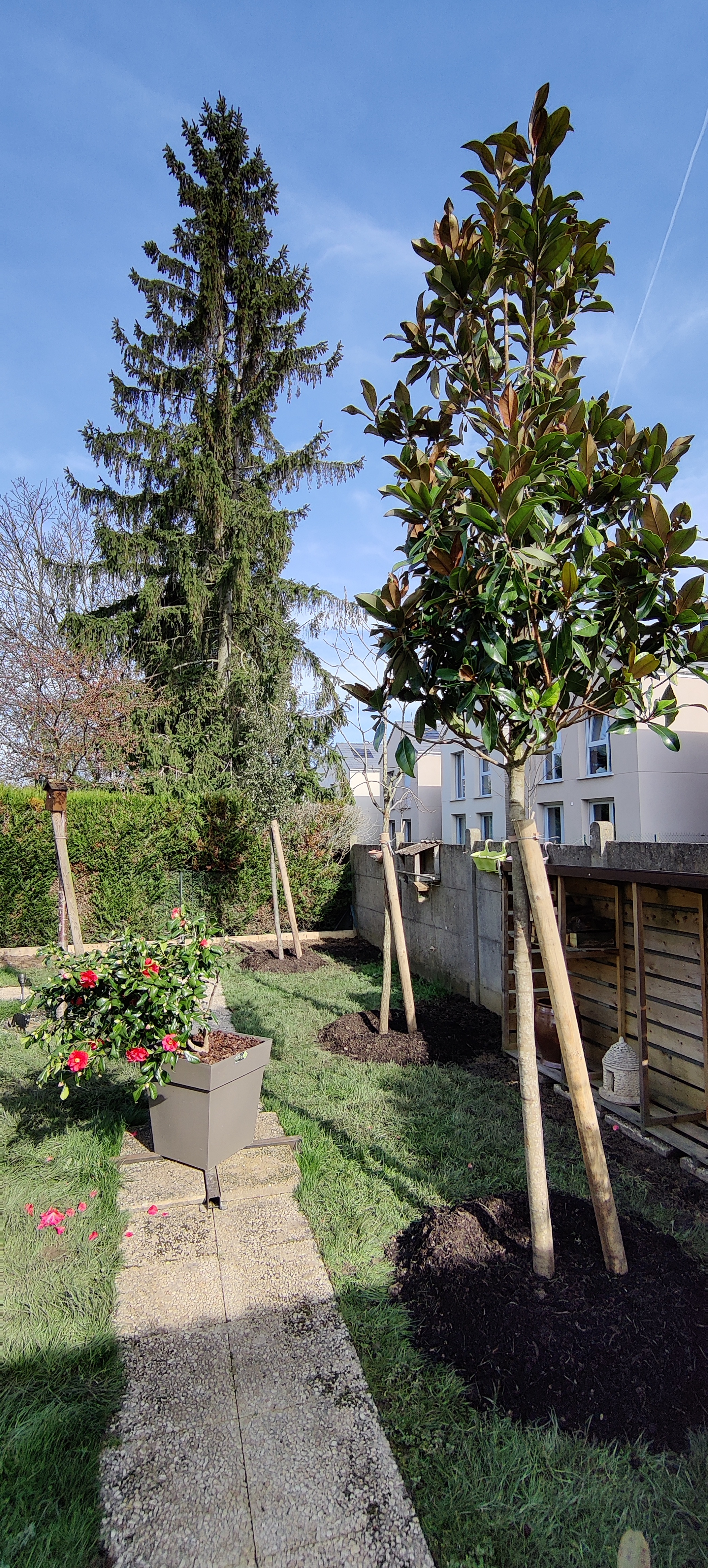 Photo n° 1 de l'avis de Pierre.o fait le 17/01/2021 à 10:01