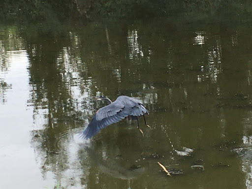 Golf Course «The Blue Heron Golf Course», reviews and photos, 1810 W Snoqualmie River Rd, Carnation, WA 98014, USA