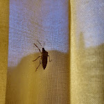 Photo n°9 de l'avis de Tiziano.. fait le 13/05/2019 à 21:30 sur le  Apartments Arca & Cà Mure à Bardolino