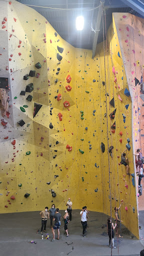 Rock Climbing «Planet Rock Climbing Gym», reviews and photos, 1103 W 13 Mile Rd, Madison Heights, MI 48071, USA