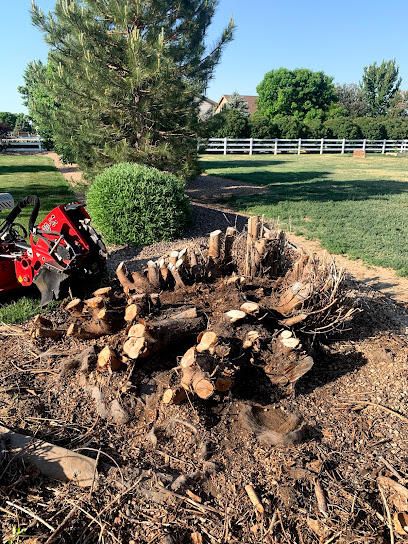 Old Town Stump Removal LLC