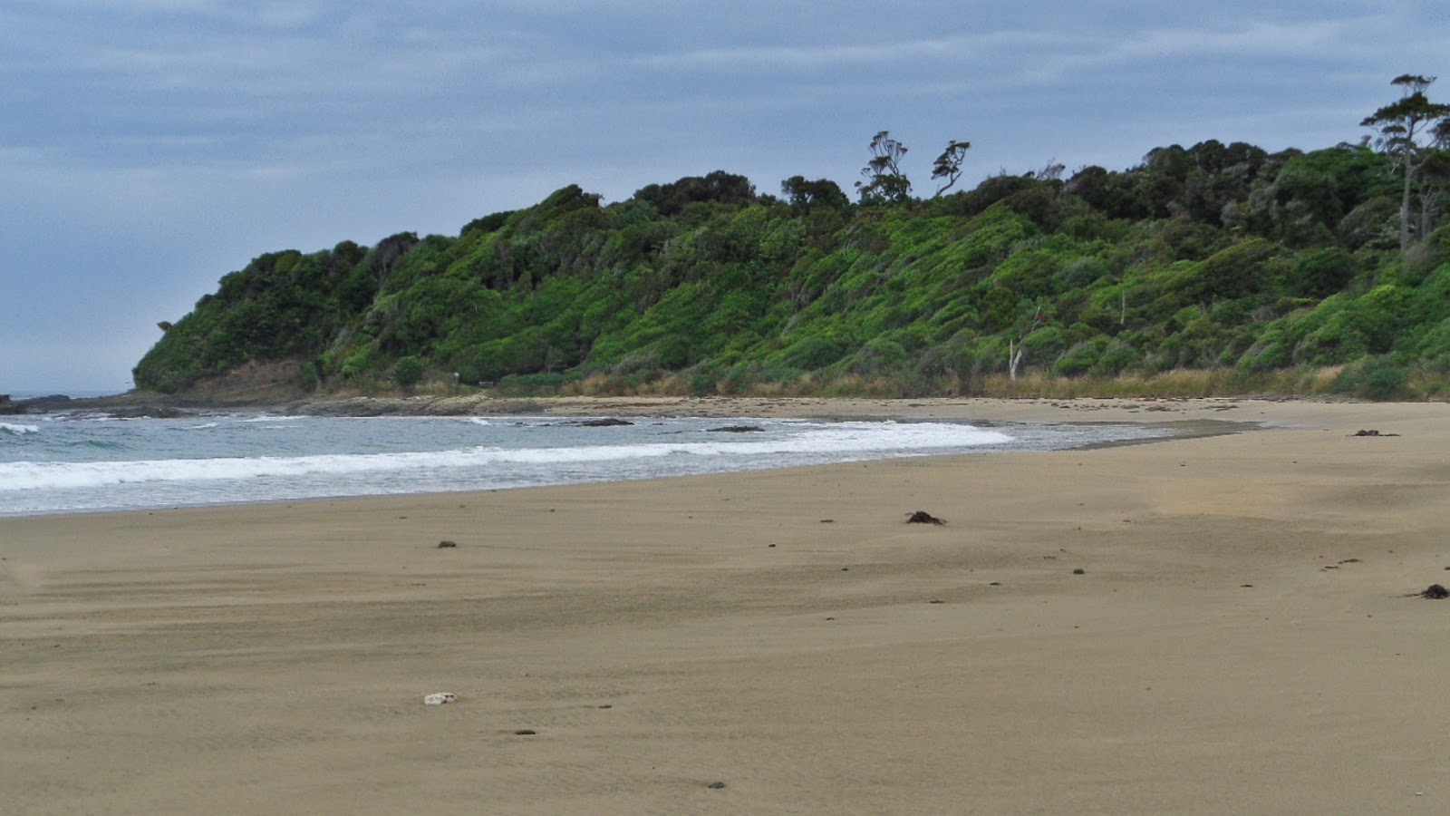 Fotografie cu Tahakopa Beach cu o suprafață de nisip strălucitor