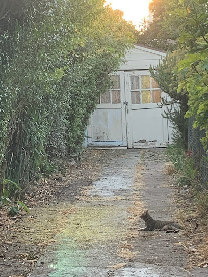 Becky's cat services