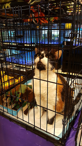 Pet Supply Store «PetSmart», reviews and photos, 2153 75th St, Darien, IL 60561, USA