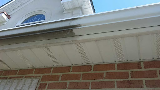 Painting «STB Painting Company», reviews and photos