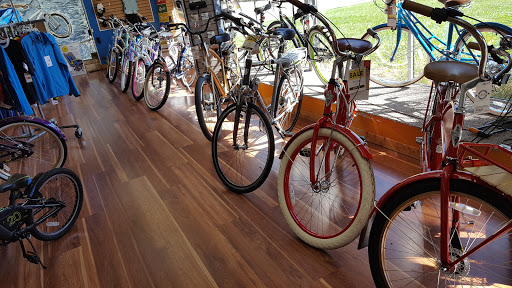 Bicycle Store «American Cycle & Fitness - The Trek Bicycle Stores of Michigan», reviews and photos, 203 N Perry St, Pontiac, MI 48342, USA
