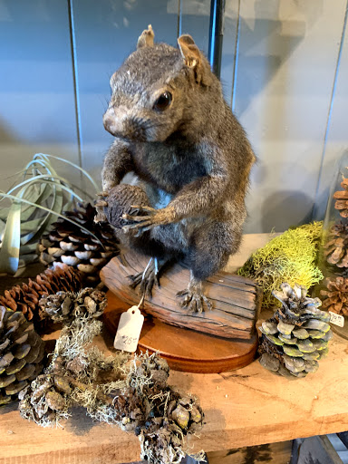 Gift Shop «Natural Selection», reviews and photos, 39 St Lawrence Ave, Reno, NV 89509, USA