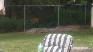 Mill Creek Park - photo 67