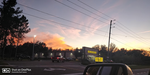 Home Goods Store «Dollar General», reviews and photos, 2640 E Orange Ave, Eustis, FL 32726, USA