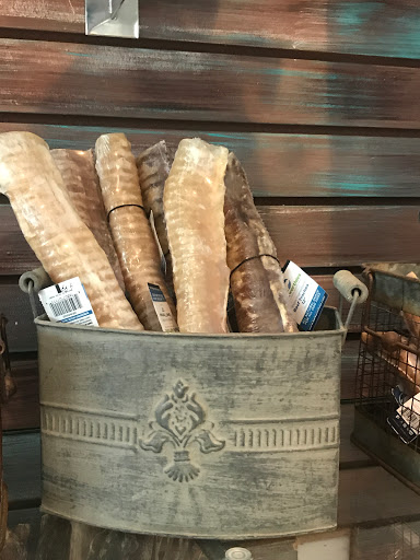 Pet Groomer «Luba`s Pet Grooming Studio», reviews and photos, 2782 Park St, Jacksonville, FL 32205, USA