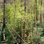 Photo n° 1 de l'avis de Cédric.o fait le 03/05/2017 à 12:39 pour Crapahut Parc Aventure à Belesta