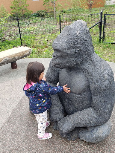 Golf Course «Como Park Golf Course», reviews and photos, 1431 Lexington Pkwy N, St Paul, MN 55103, USA