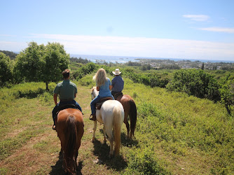 Gunstock Ranch