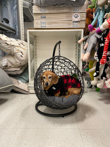 Department Store «Marshalls», reviews and photos, 65 Colma Blvd, Colma, CA 94014, USA