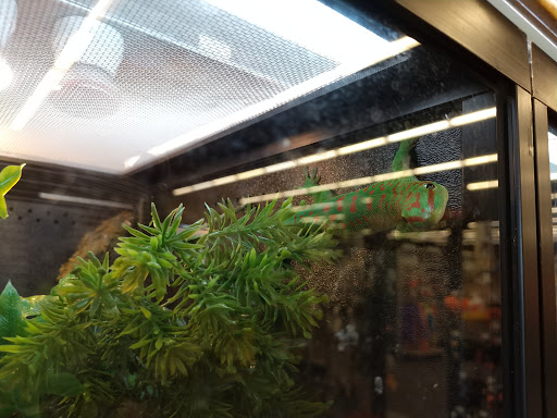 Pet Supply Store «PetSmart», reviews and photos, 1020 Market Pl Blvd, Cumming, GA 30041, USA