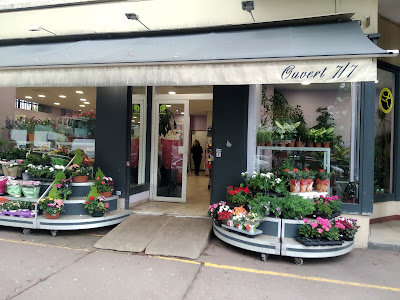 Ana Flowers à Argenteuil