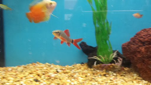 Pet Supply Store «Petco Animal Supplies», reviews and photos, 4751 W 29th St, Greeley, CO 80634, USA