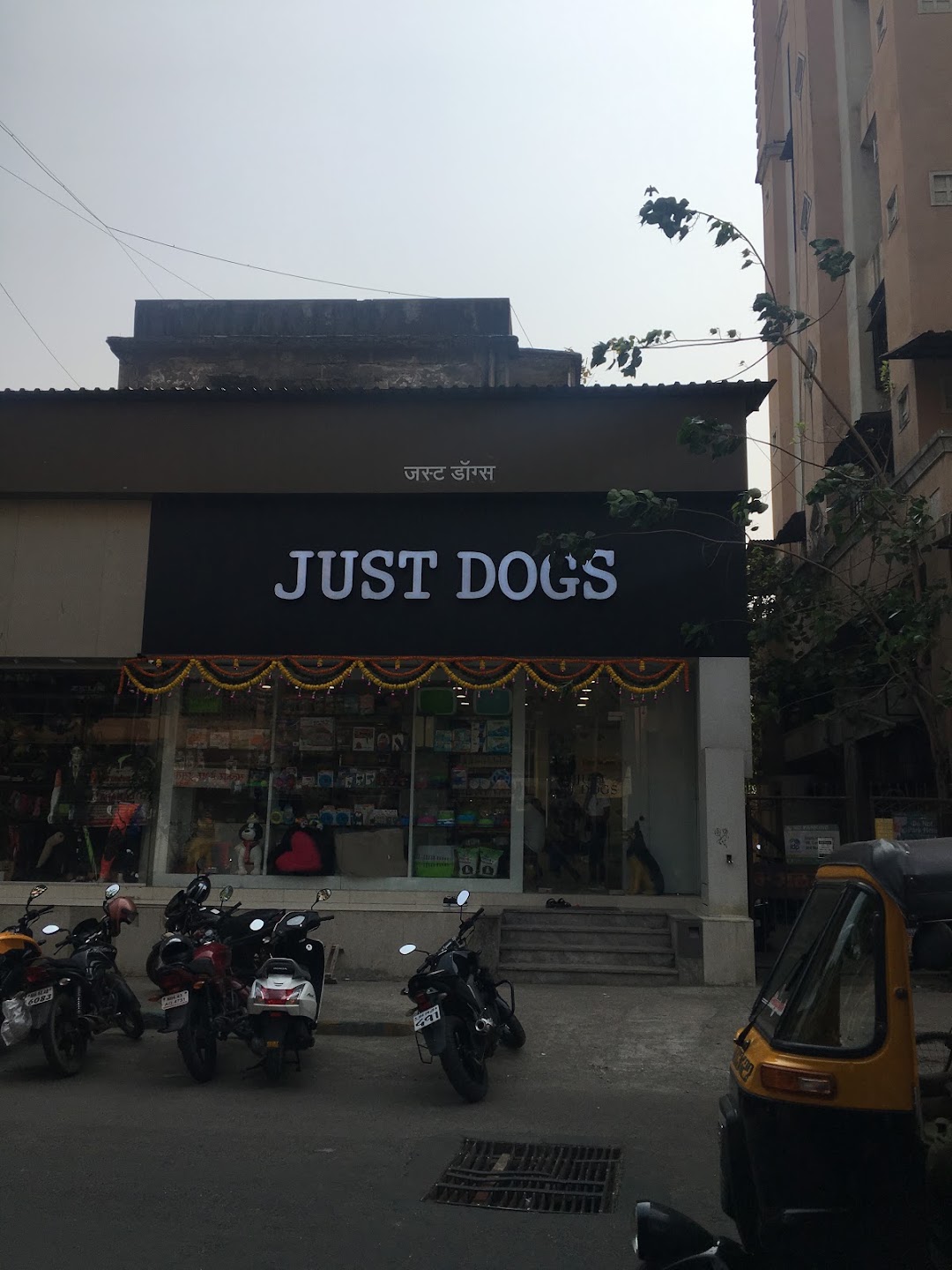Just Dogs