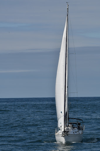 Whale Watching Tour Agency «Cape Ann Whale Watch», reviews and photos, 415 Main St, Gloucester, MA 01930, USA