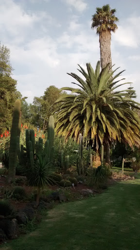 Jardín Botánico Iztacala (JABIZ)