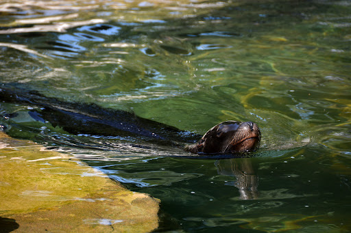 Museum «Molly Brown House Museum», reviews and photos, 1340 Pennsylvania St, Denver, CO 80203, USA