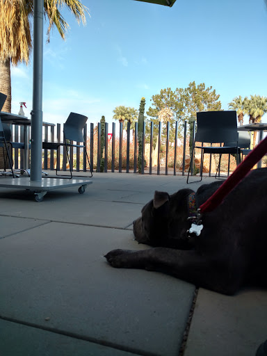 Borrego Art Institute