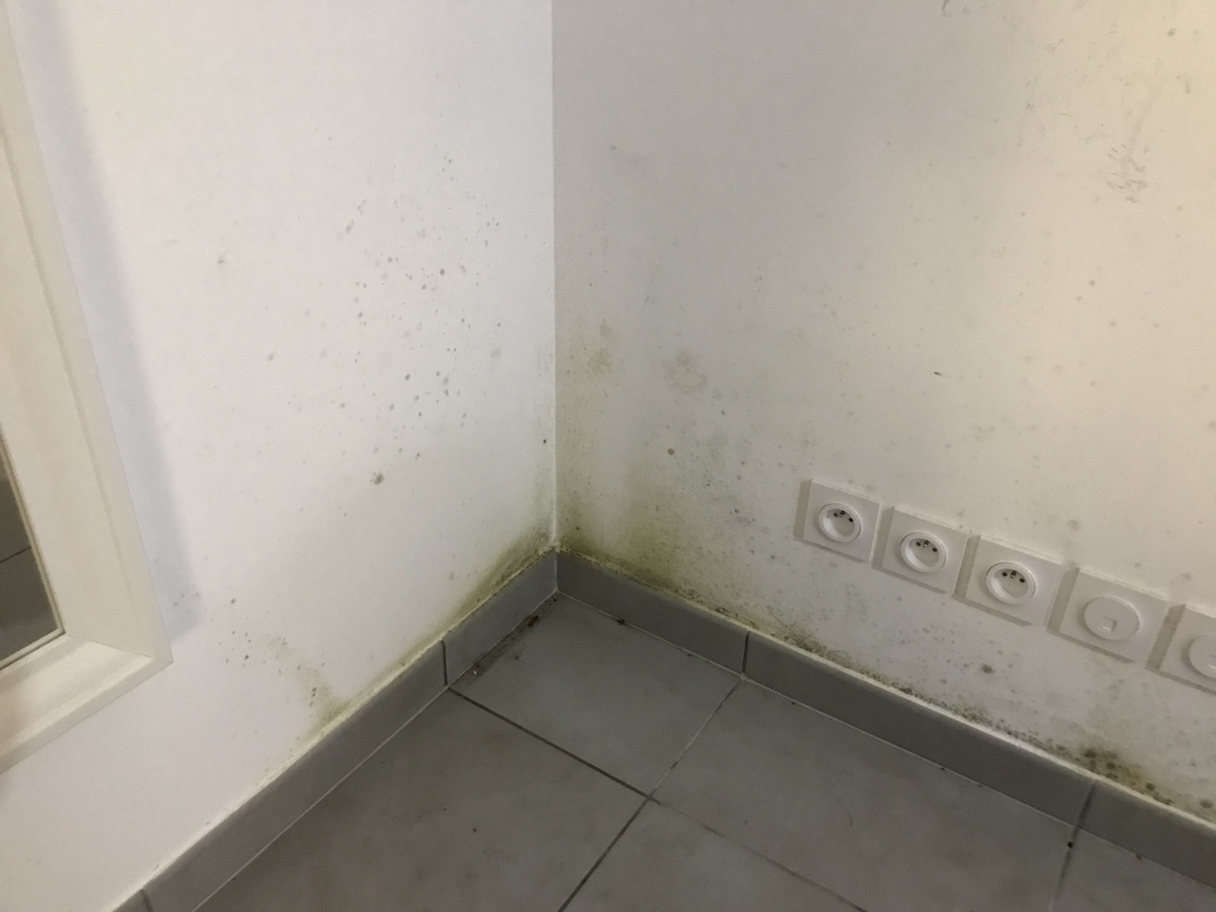 Photo n° 1 de l'avis de Huayna.a fait le 29/11/2022 à 21:36