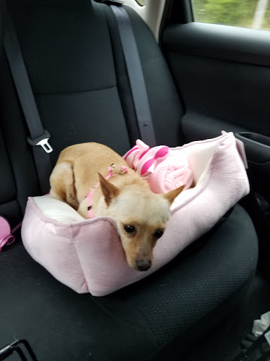 Pet Supply Store «PetSmart», reviews and photos, 9589 Ridgetop Blvd NW, Silverdale, WA 98383, USA