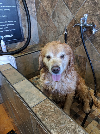 Pet Supply Store «Pet Valu», reviews and photos, 411 Valley Brook Ave, Lyndhurst, NJ 07071, USA