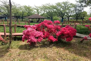 Tsutsujigaoka Daini Park image