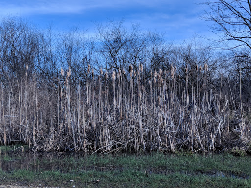 Nature Preserve «Goodenow Grove Nature Preserve», reviews and photos, 27064 Dutton Rd, Beecher, IL 60401, USA