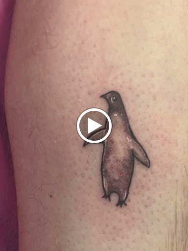 Explore small snake tattoo ideas, creative tattoo ideas in Port Aransas, available at Island Ink studio