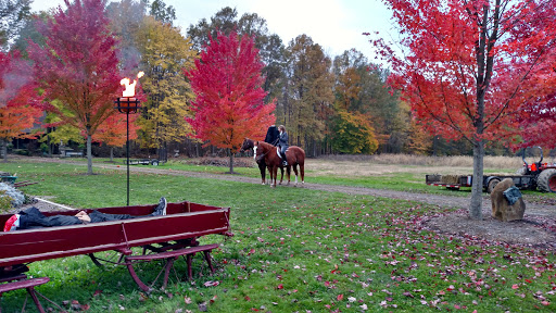 Winery «Greene Eagle Winery», reviews and photos, 2576 Davis Peck Rd, Cortland, OH 44410, USA